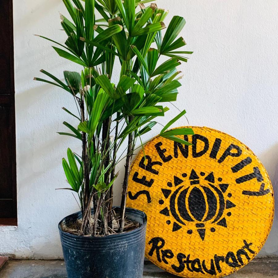 Serendipity Hoi An Hostel Exterior foto